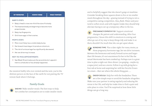 We're Pregnant! The First Time Dad's Pregnancy Handbook