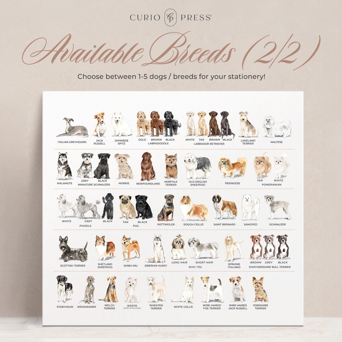 Personalized Stationery Dog Themed Note Pads, Choose from 85 Breeds Dog Stationery Set, Personalized Notepads for Dog Lovers, as Gift or To-do List Stationary, Lined/Unlined Custom Notepads - Dogs Pad