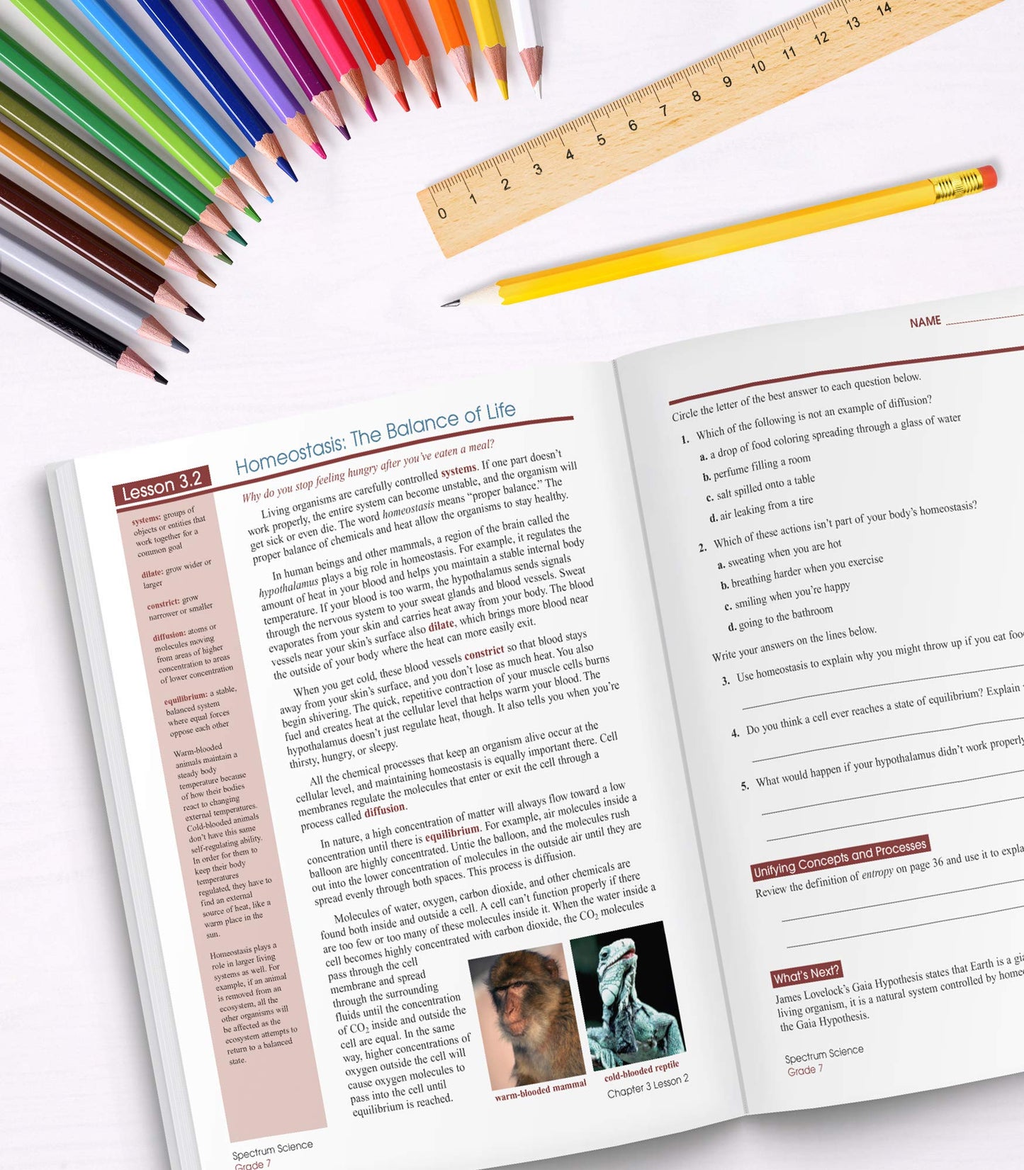 Spectrum 7th Grade Science Workbook, Ages 12 to 13, Grade 7 Science Workbook, Natural, Earth, and Life Science, 7th Grade Science Book with Research Activities - 176 Pages (Volume 59)