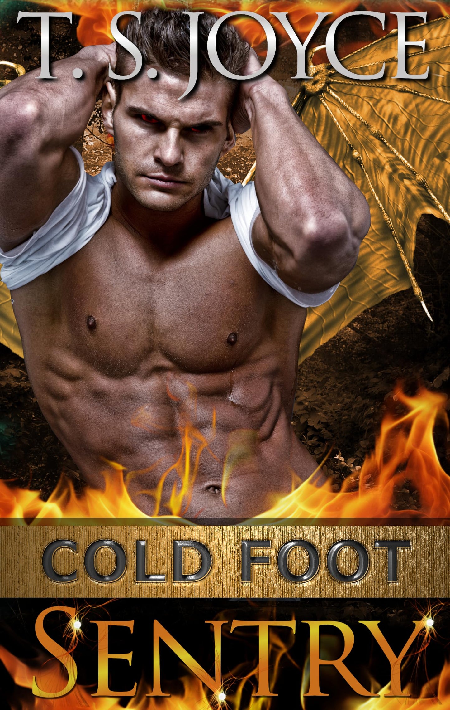 Cold Foot Sentry (Wreck's Mountains Book 6)
