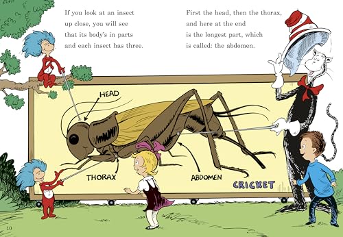 On Beyond Bugs! All About Insects (The Cat in the Hat's Learning Library)