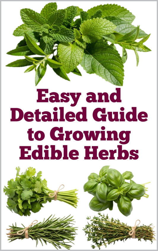 Easy and Detailed Guide to Growing Edible Herbs (A Detailed, Informative Series on Homesteading)