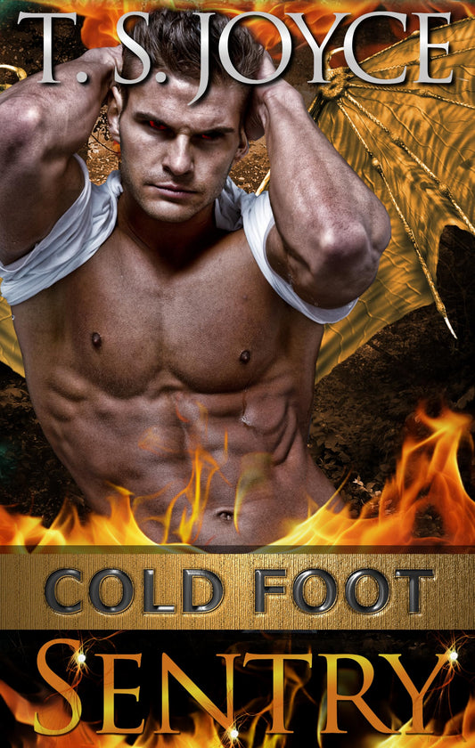 Cold Foot Sentry (Wreck's Mountains Book 6)